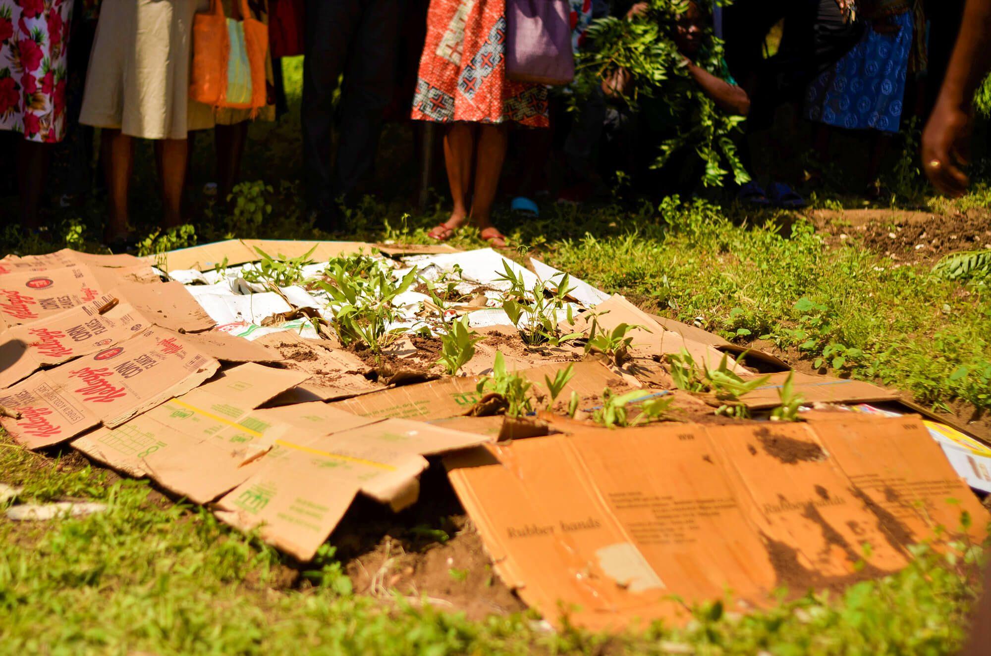 In Ghana, agriculture is in trouble. The world’s agricultural systems rely on six inches of healthy topsoil; when the soil fails, so do crops.
Photo: Sabon Sake
