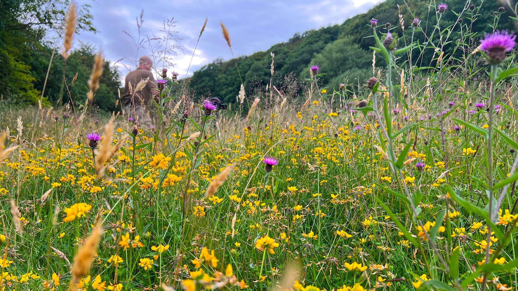 At Rewilding Coombeshead, Nick serves as the creative director, alongside other conservationists, on initiatives ranging from recovering lost species, such as wildcats and beavers, to restoring and reengaging with the devastated soil.
Photo: Nick Viney