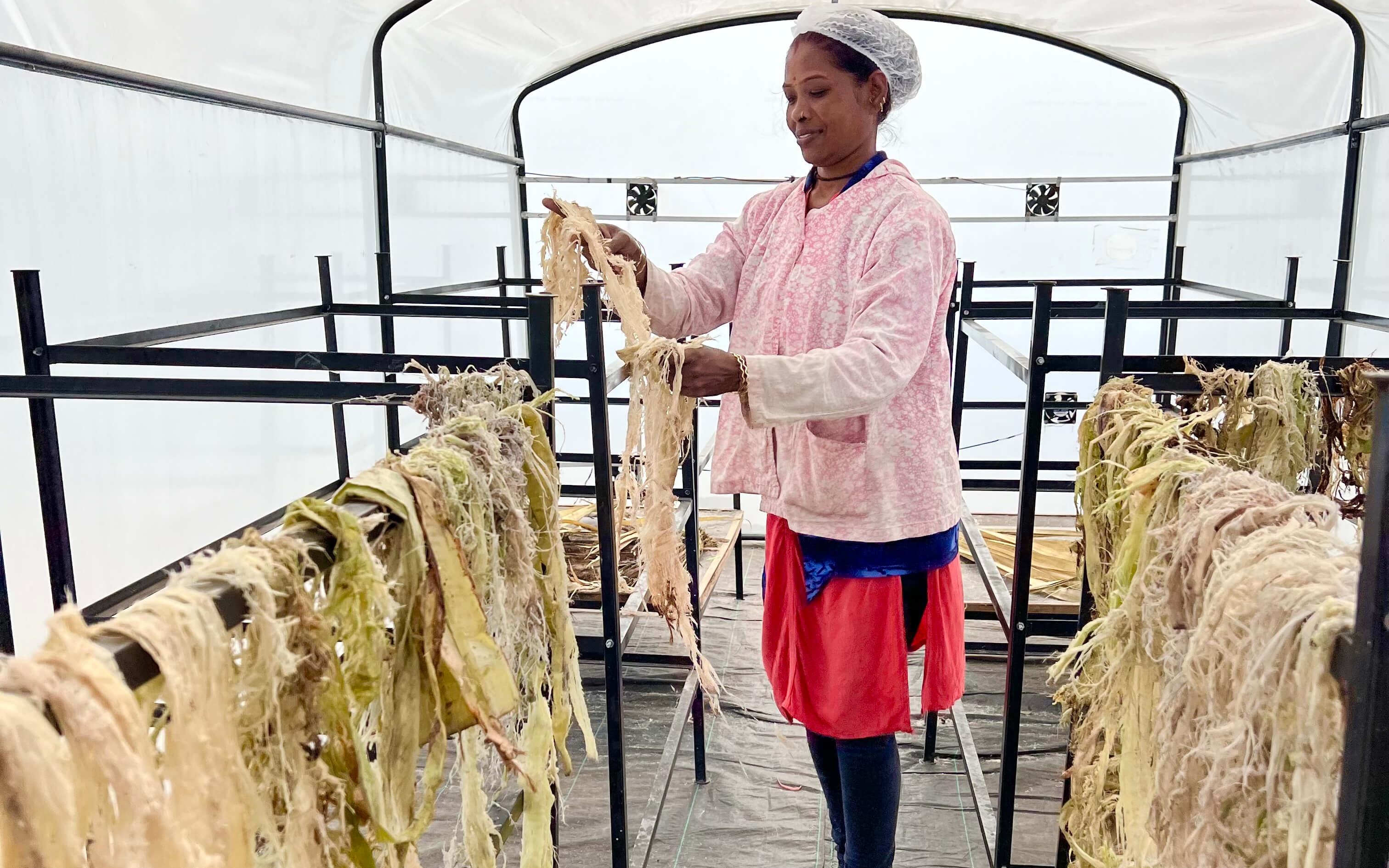 Going Bananas with Fashion