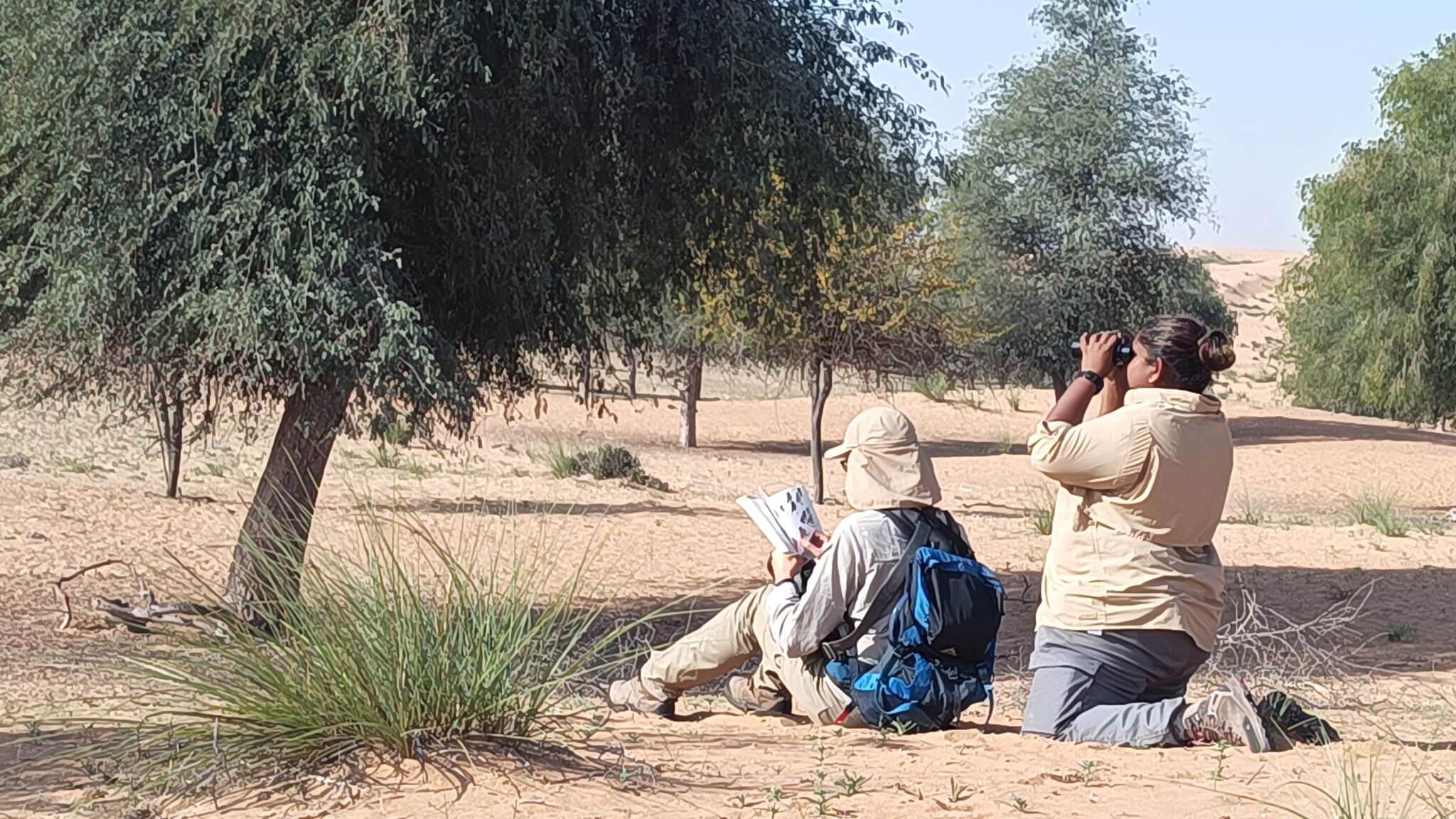 Georgina, the species survival manager of the IUCN Centre for Species Survival, searches for local flora, fauna, and fungi in the deserts of the UAE.
Photo: Terra Expo Dubai