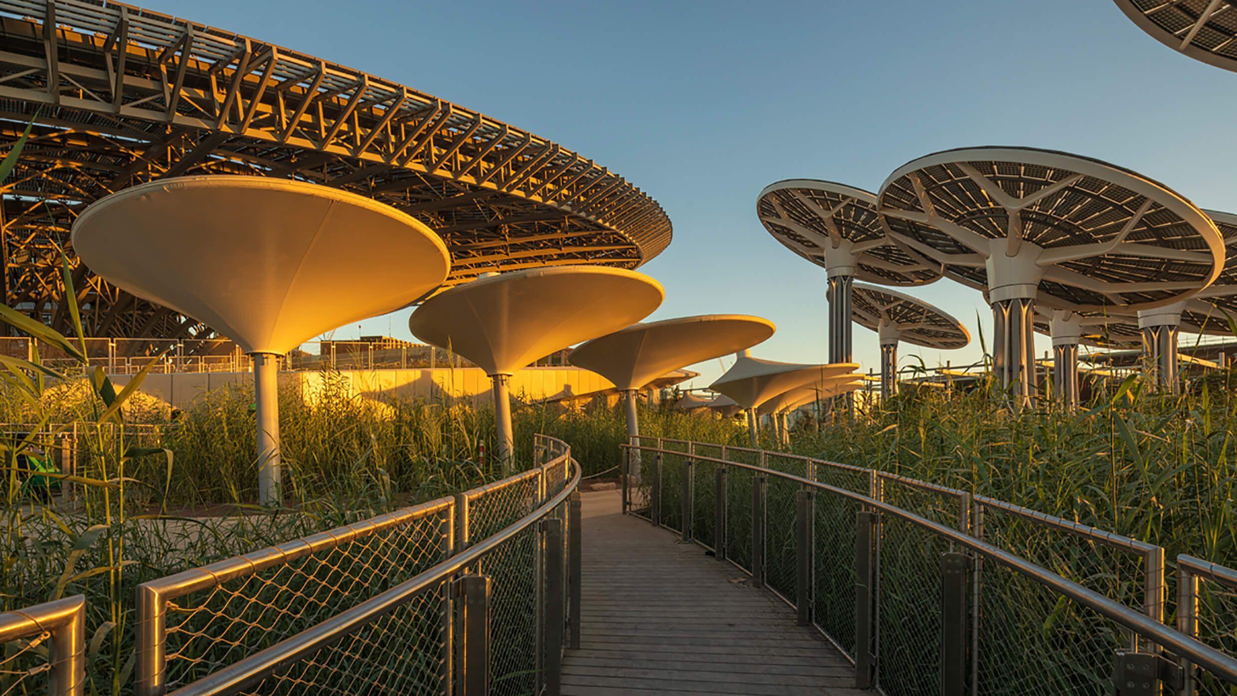 The mobile solar trees at Terra Expo City Dubai shift to follow the sun throughout the day.
Photo: Terra Expo Dubai