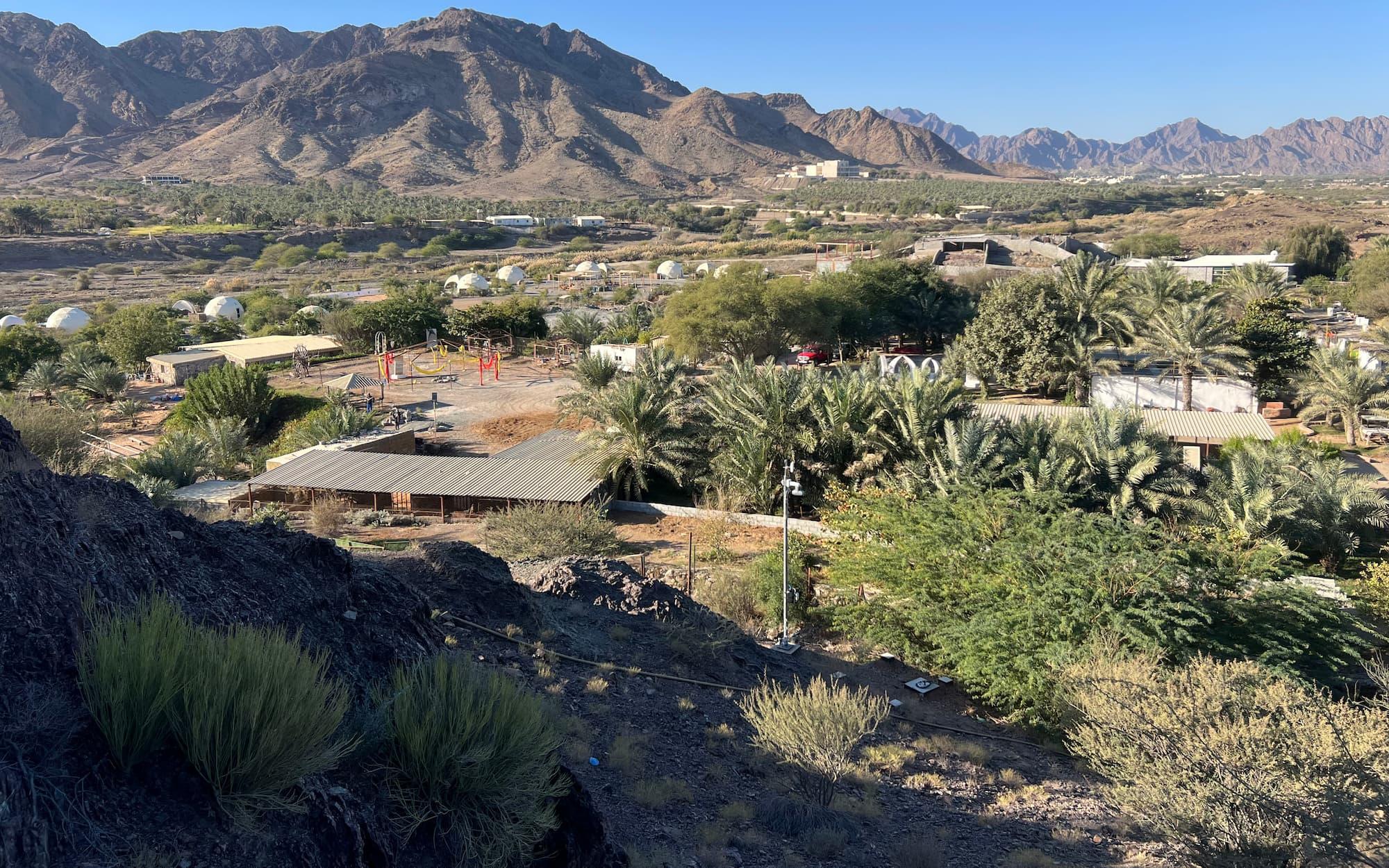Nestled in Hatta, UAE, Grassroots Village started as a farm run by a local Emirati named Mubarak.
Photo: Grassroots Village