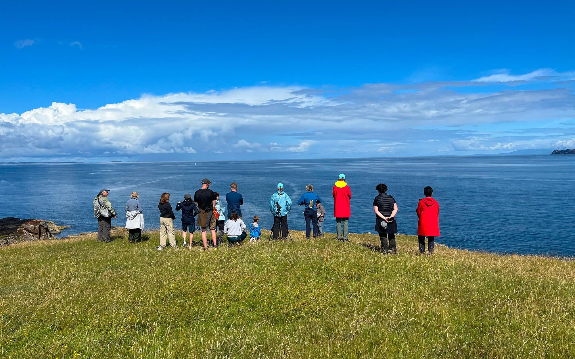In 2024, there were more than 10,000 cetacean encounters reported. These actionable data points flow from a moment of delight and awe – the sight of a whale in home waters.
Photo: Hebridean Whale and Dolphin Trust