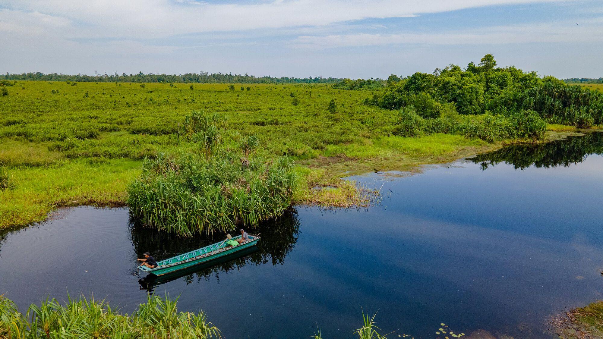 The Gunung Palung National Park is a global biodiversity gem, home to over 2,500 critically endangered species spread over seven distinct forest types. However, the area has faced devastating deforestation due to plantations and illegal logging.
Photo: Alam Sehat Lestari