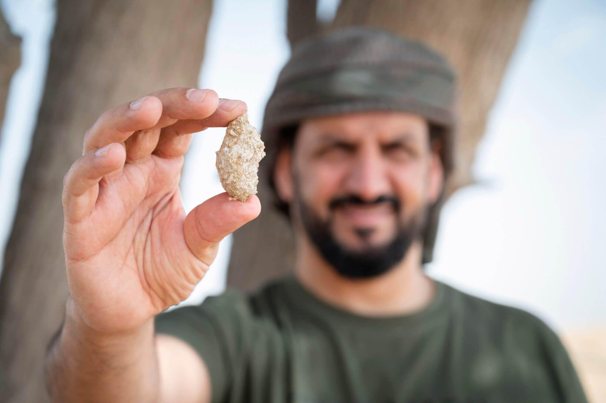 Ali bin Thalith holding a roubaya (an Owl Pellet) comprised of tiny Jerboa bones, an effective illustration of the Desert Eagle Owl diet. Photographer: Ali bin Thalith. Location: Dubai, United Arab Emirates.